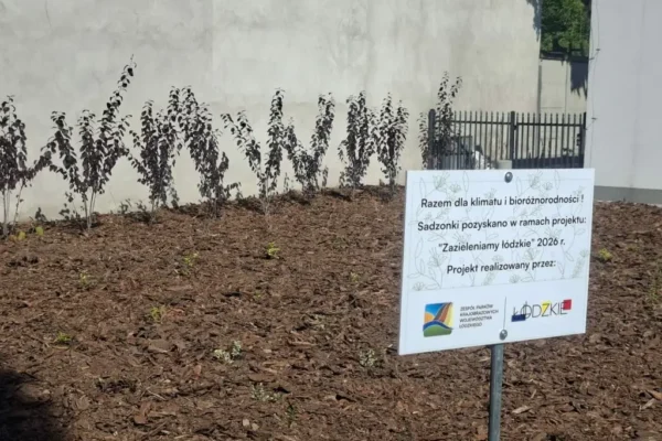 Gmina Łyszkowice zazieleni się: blisko 200 nowych krzewów przy urzędzie i świetlicy