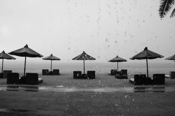 Odwołano Powiatową Strefę Summer na plaży nad Bzurą