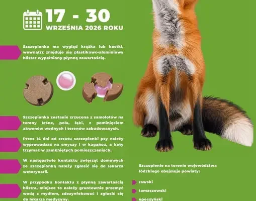 Jesienna akcja szczepienia lisów przeciwko wściekliźnie w województwie łódzkim