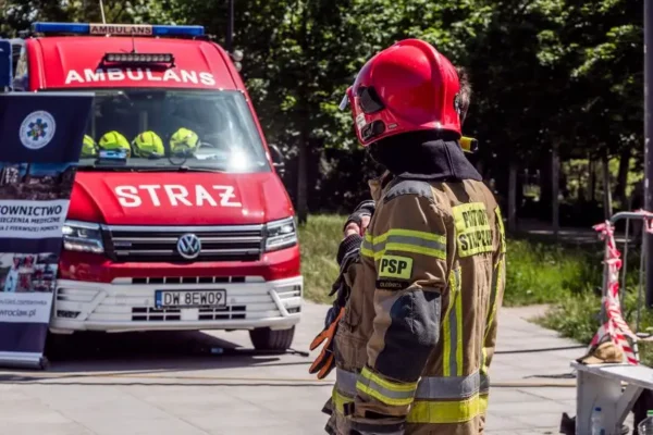 Miejscowe zagrożenie w Nieborowie – interwencja strażaków