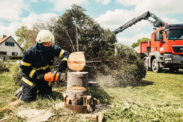 Usuwanie niebezpiecznego konaru drzewa w Smolicach. Akcja strażaków z OSP