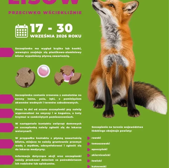 Jesienna akcja szczepienia lisów przeciwko wściekliźnie w 2026 roku